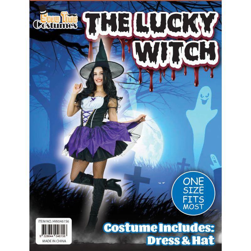 Womens Lucky Witch Costume