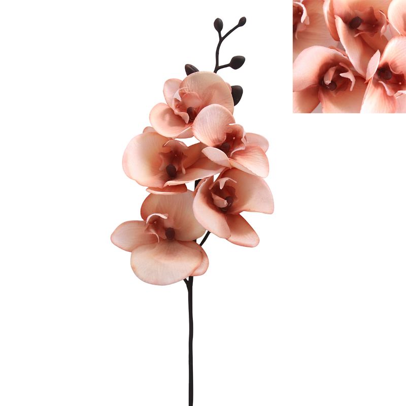 Pink Phalaenopsis Orchid - 87cm