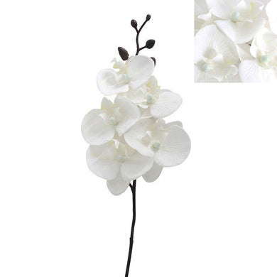 White Phalaenopsis Orchid - 87cm - The Base Warehouse