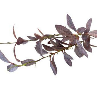 Grey Willow Stem - 100cm - The Base Warehouse