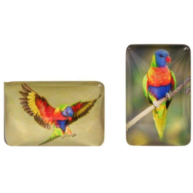 Glass Rectangle Parrot Magnet - The Base Warehouse