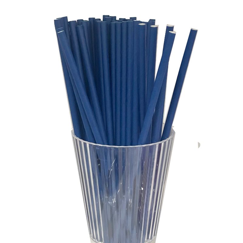80 Pack Navy Blue Paper Straws - 0.6cm x 19.7cm