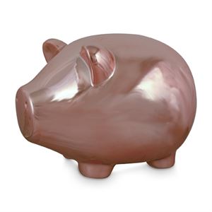 Rose Gold Piggy Bank - 28 x 20cm