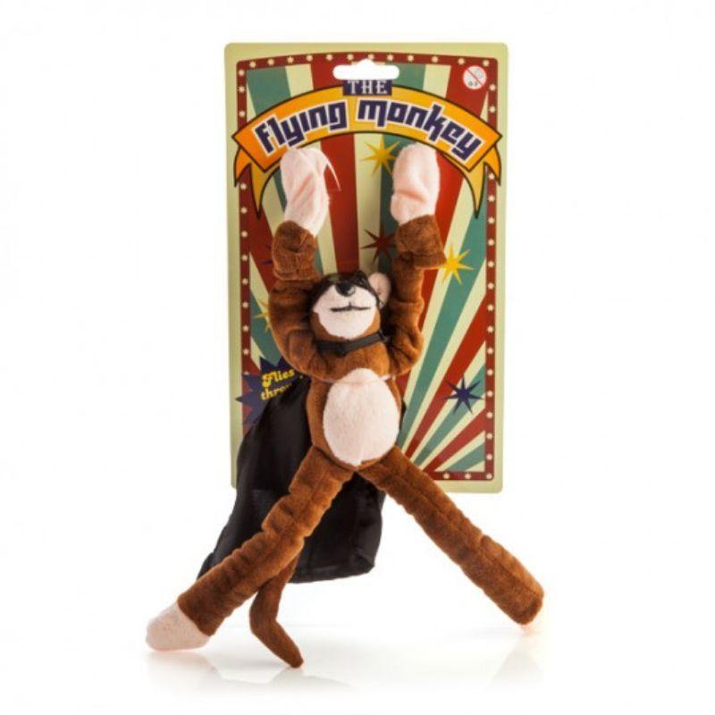 Flying Money with Sound - 27cm x 12cm - The Base Warehouse