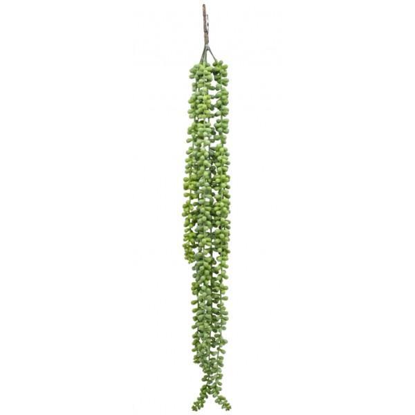 Hanging Ragworts Succulent Spray - The Base Warehouse