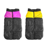 Load image into Gallery viewer, Dog Neon Stripe Zip Jacket
