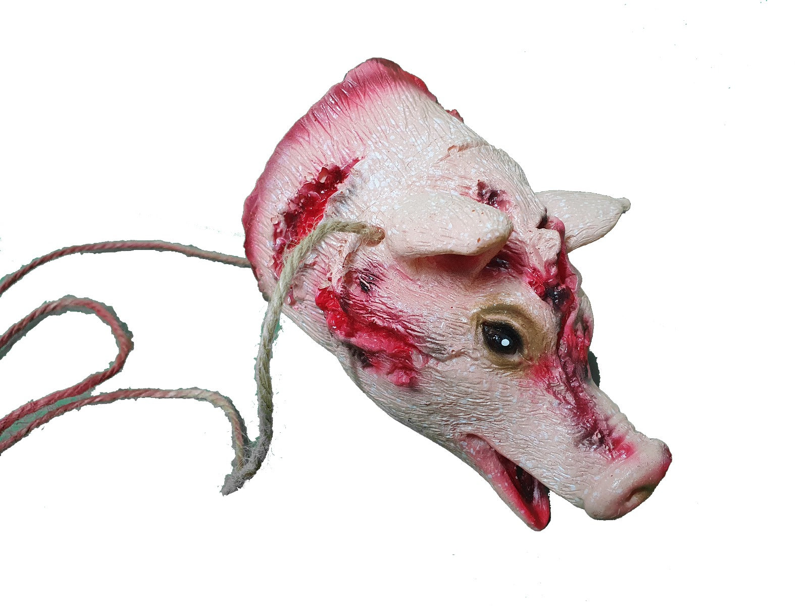 Chopped Off Pigs Head on Jute String - 13cm