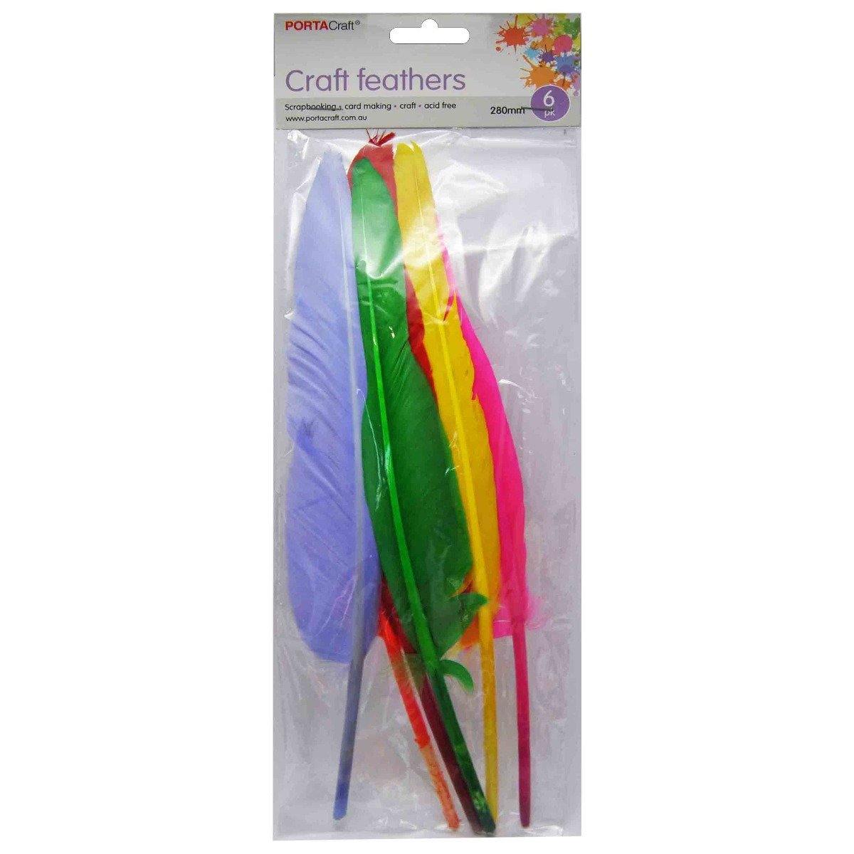 6 Pack Mixed Coloured Craft Feathers - The Base Warehouse