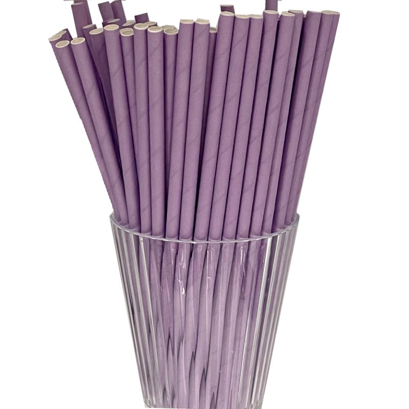 80 Pack Lilac Paper Straws - 0.6cm x 19.7cm