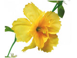 Load image into Gallery viewer, Yellow Hibiscus Garland - The Base Warehouse
