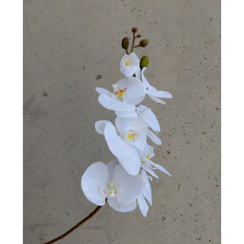 Real Touch White Phalaenopsis Orchid 7 Flowers one Bud - 100cm x 19cm