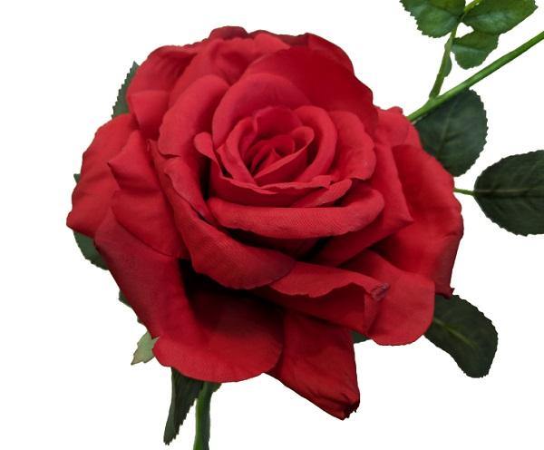 Red Quiannie Rose - The Base Warehouse