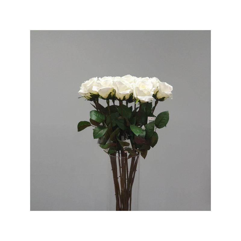 White Ecuador Rose - 67cm