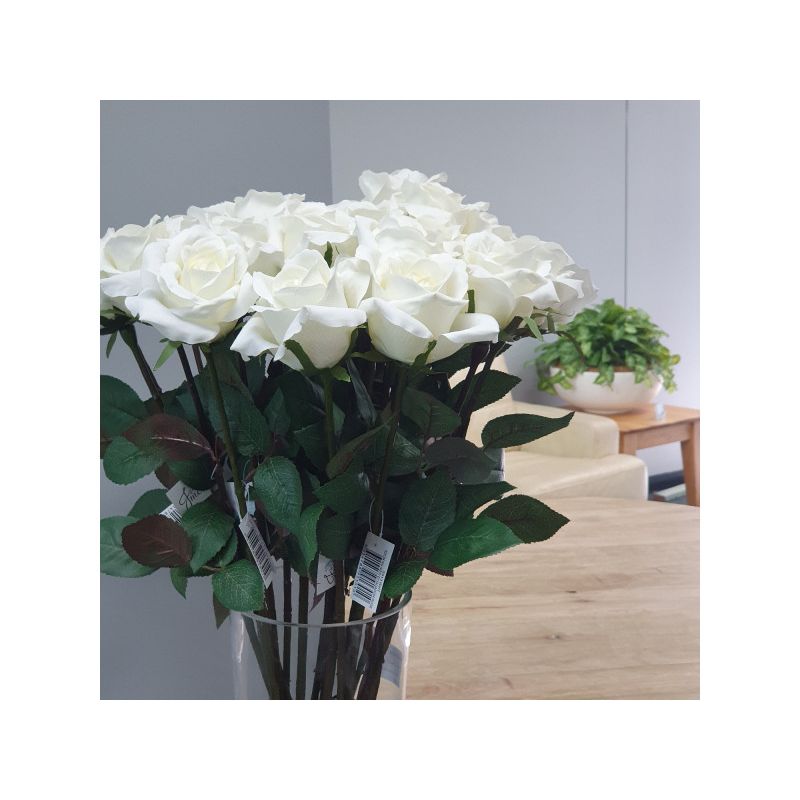 White Ecuador Rose - 67cm