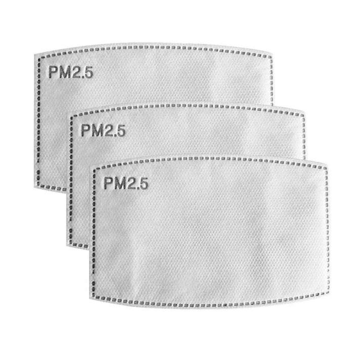 10 Pack PM2.5 Filters - The Base Warehouse