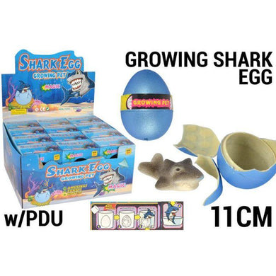 Growing Shark Egg - The Base Warehouse